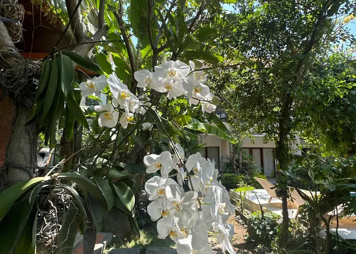 Guest house Kundalini Shakta 2*